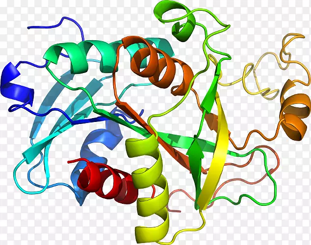 �߲��л��������-�߲�-������