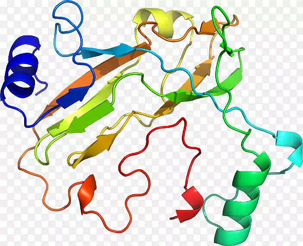 ������Ϊ�л����ߵ��������-������