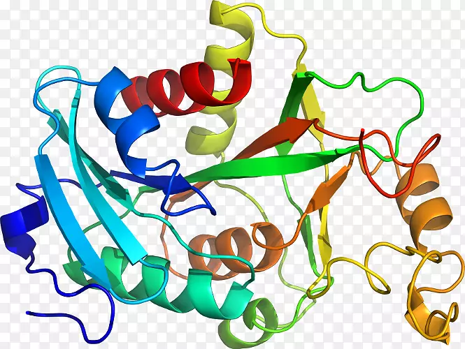 ���������л����߼�������-������