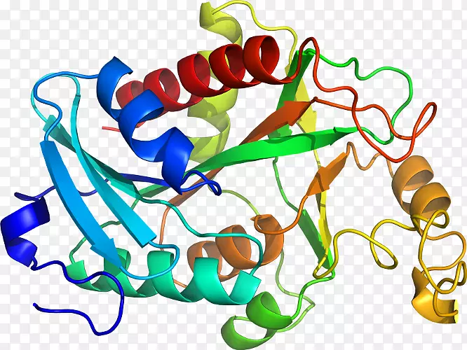 ���������л����߼�������-������