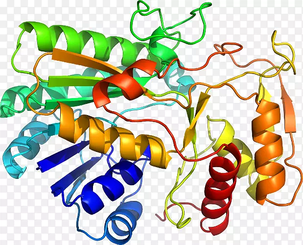 �߲˾��߼�����-�߲�-������