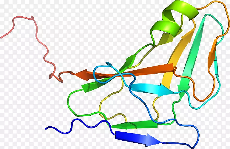 �ߵ������-��-������