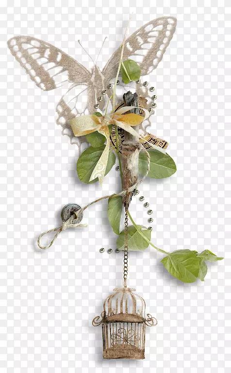 ���͸���ڼ�����-������