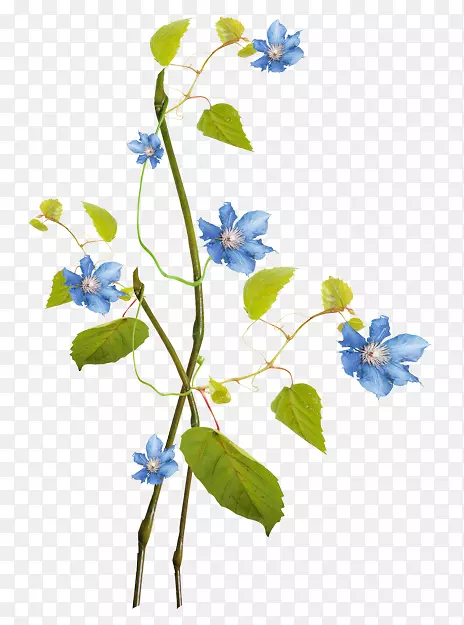 ���ͻ��ռǼ�����-������