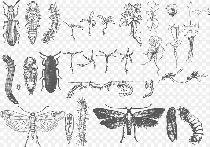 ������������-������