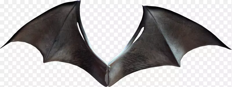 ��������-ħ�����-������