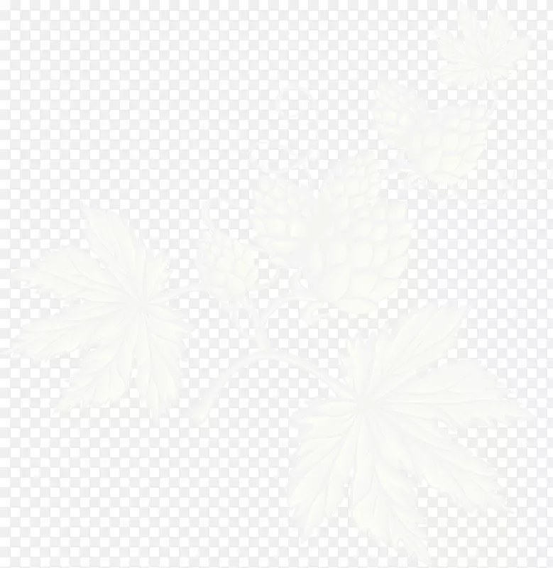 �����Ҷ�Ҿ����켰�����Ʒ��ֽ-������