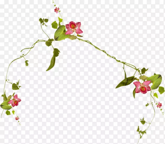 Liana��װ��PostScript������-������