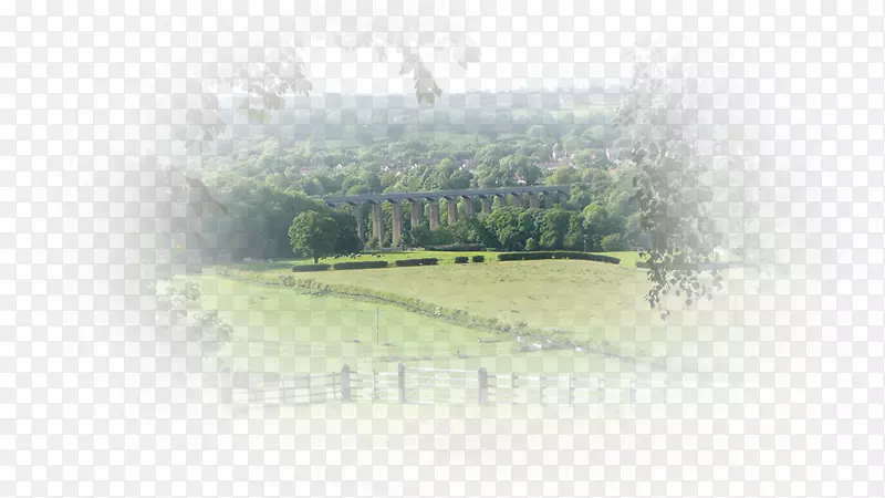 ���صض�������ղ�������-������