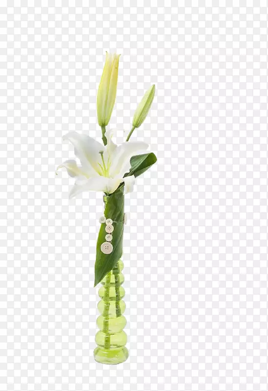 ��ƿ���ǻ��л������ٺϻ���ƿ-������