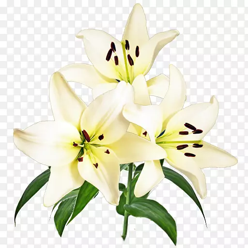 �л������������꣬�ٺϻ�-������