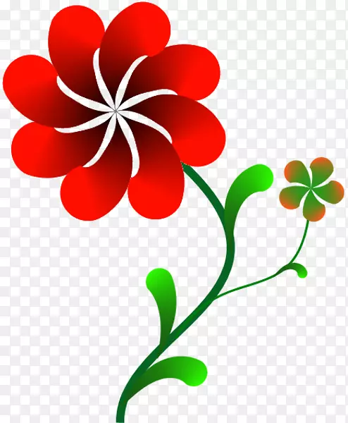 �����˰-��Ѷ���������-����-������