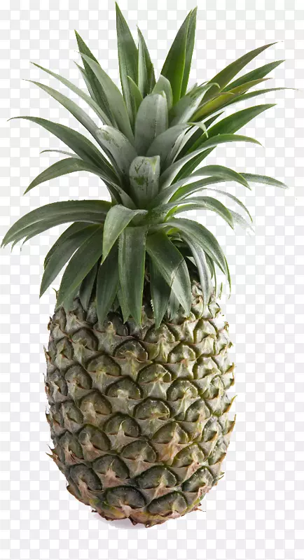 ����ˮ��ʳƷ-����-������