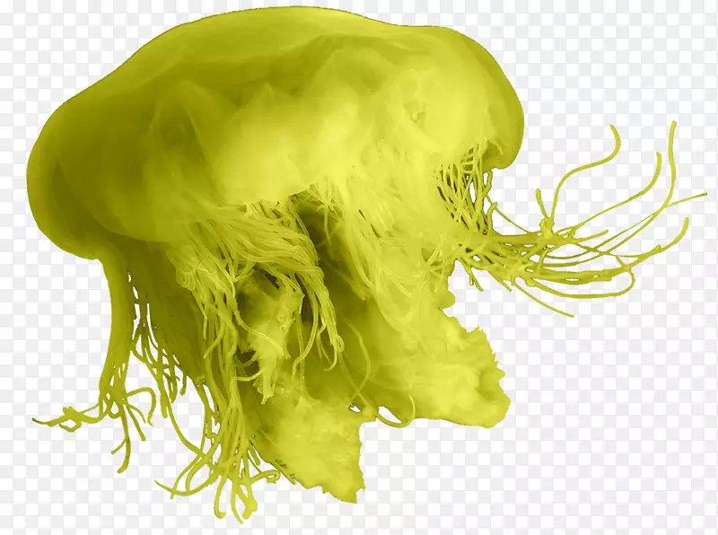 ˮĸ���͵����ʼ�-������