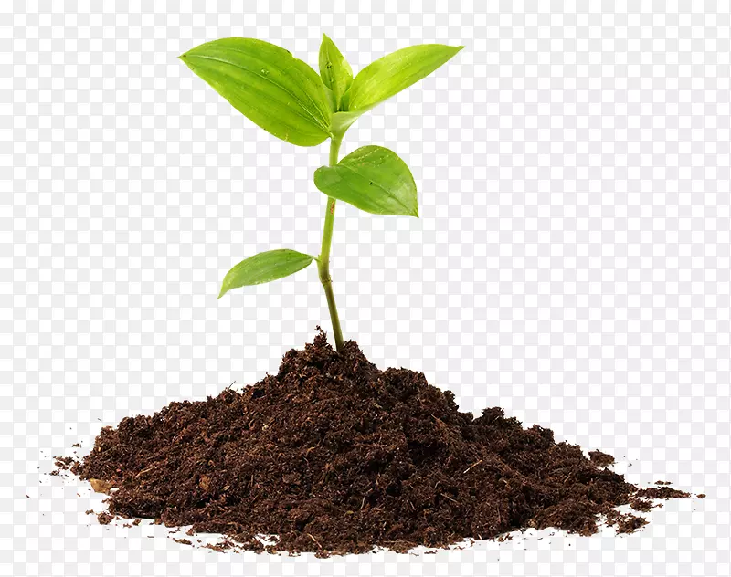 �ɹ����ؾ��������ɹ�������ʲô�����������̫�á�-������