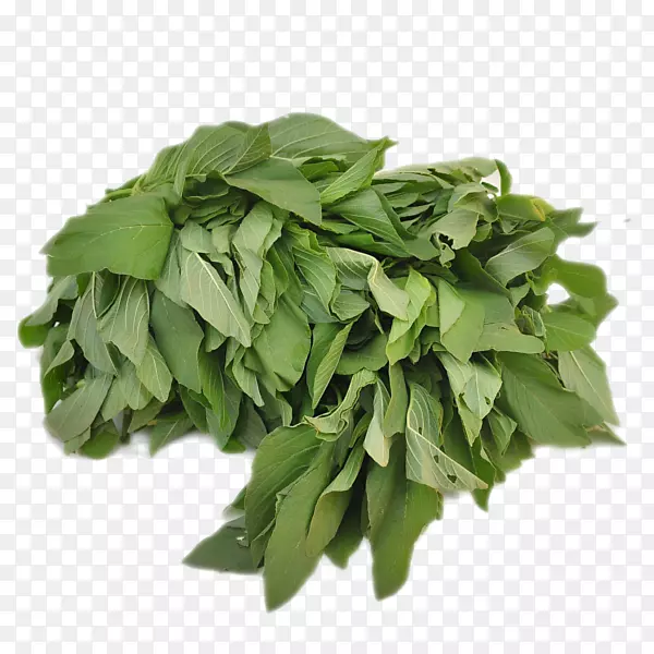 ���ղ����л�ʳƷ�߲�-������