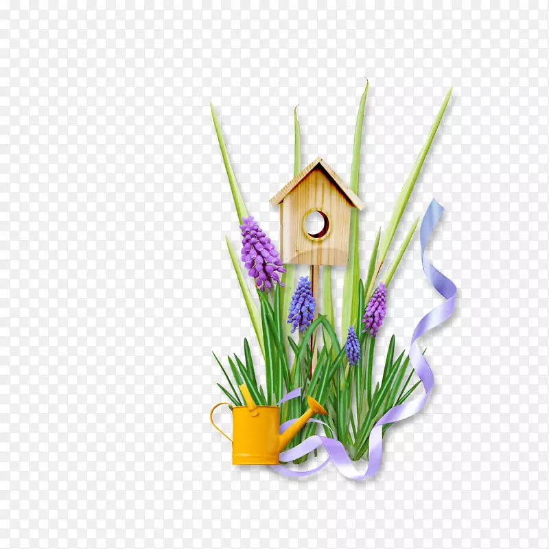 Adobeϵͳ��-��-������