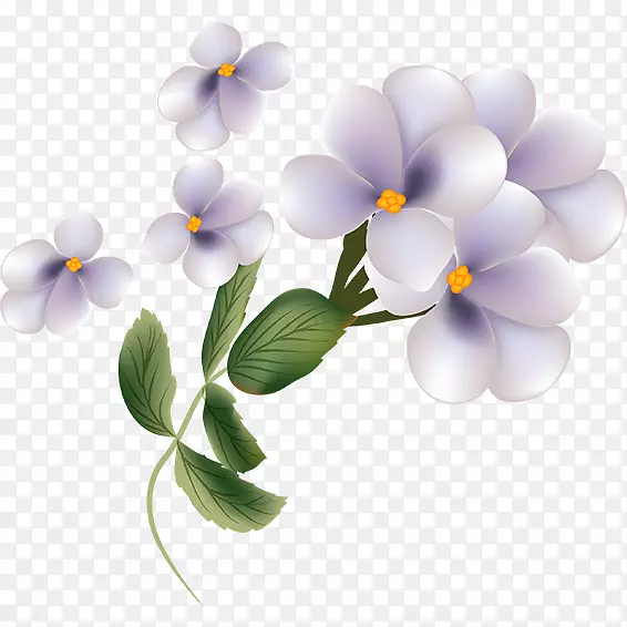 ���������-��-������