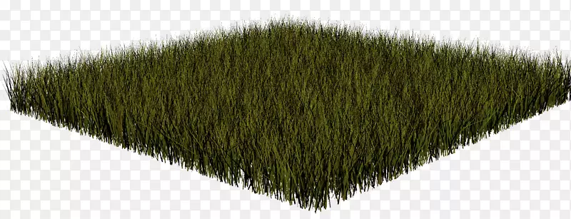 ���ߵ�-������