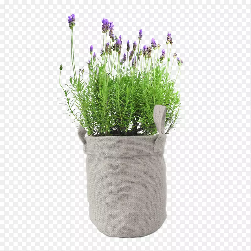 Ӣ��޹�²�ԭľ��Ӱ���ӻ�ֲ��-������