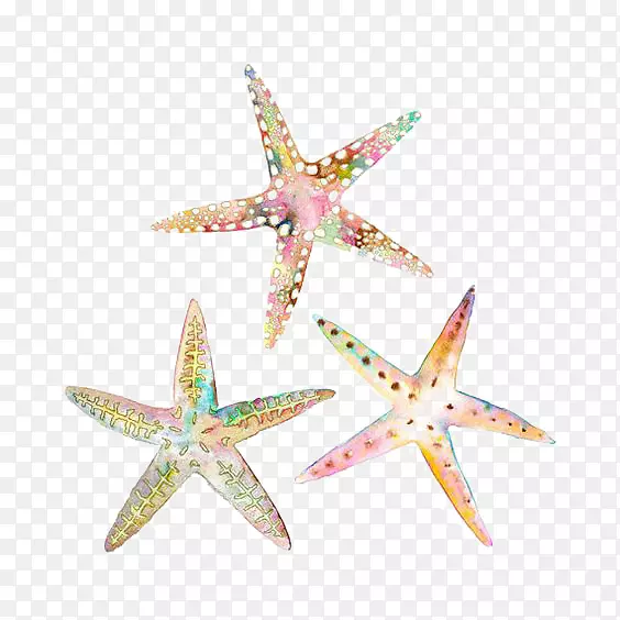 ˮ�ʻ����ǲ�ͼ.����-������