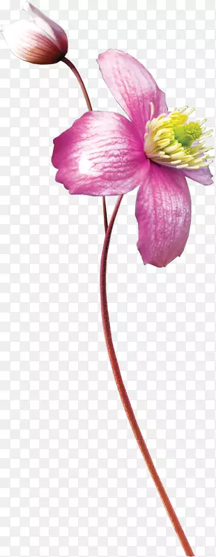 ˮ�ʻ�����-������