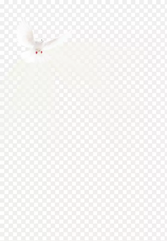 �����-������