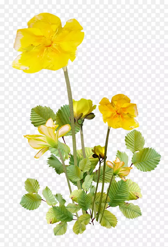 ����ʾռ�����-��-������