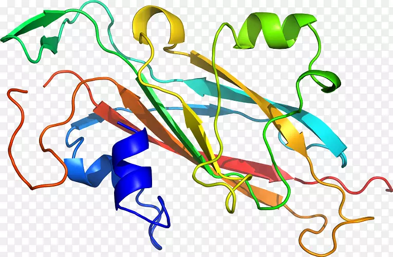 �ߵ������������-������