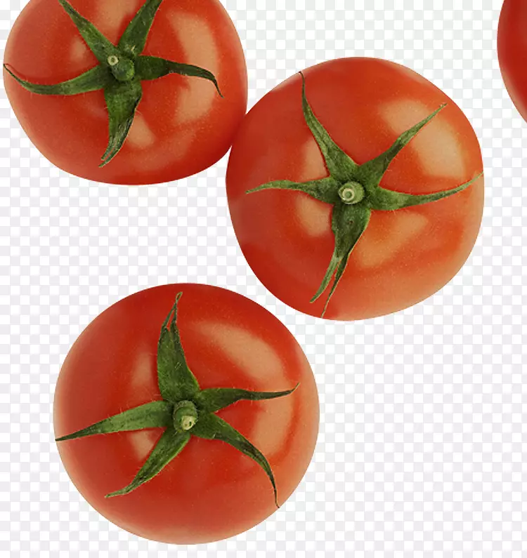 ���ӷ��ѹ�ľ�Է������ʳƷ-����-������