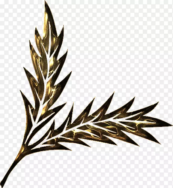 ��Ӱ������-Ҷ-������