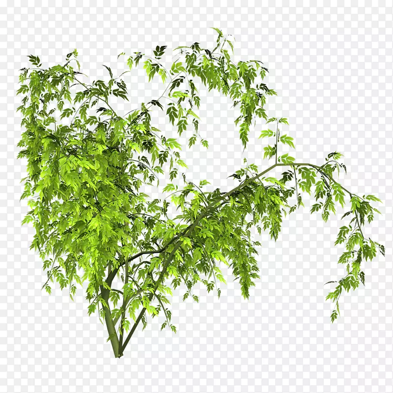 ����������-����-������