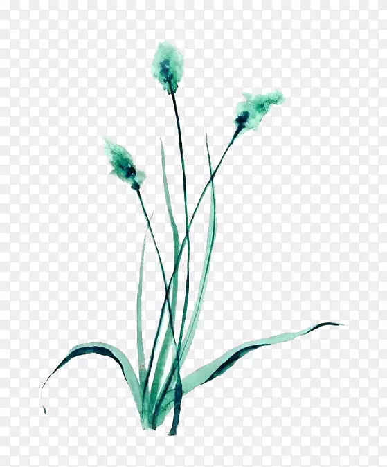 ��������̲�-������