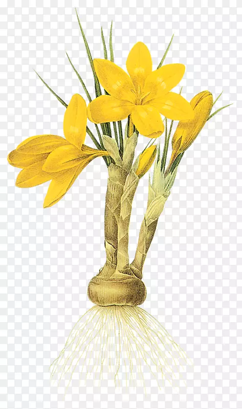 ˮ�ɻ�-������