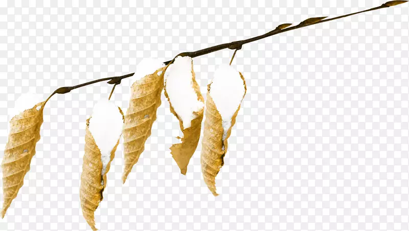 ѩҳ������-ѩ-������