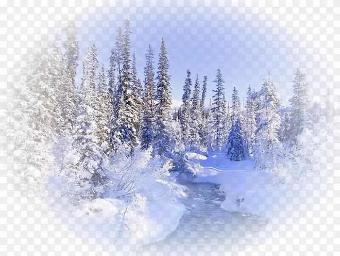 �����ֽ������������ɭ��-����-������