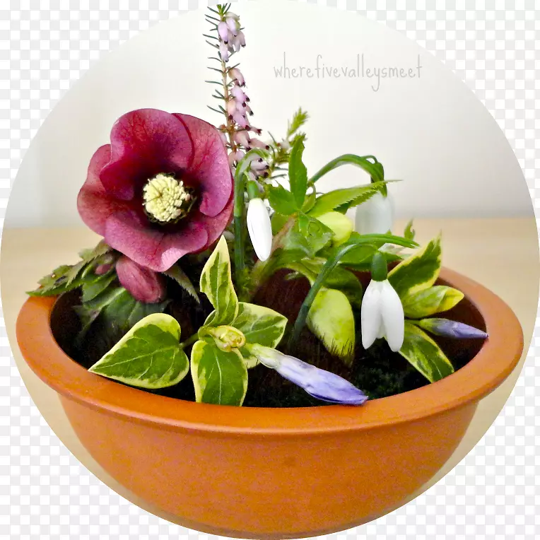 ��������л��������-������