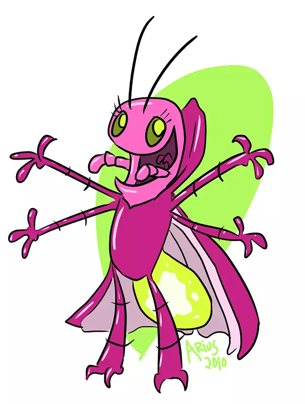 ����������-���˶���-������