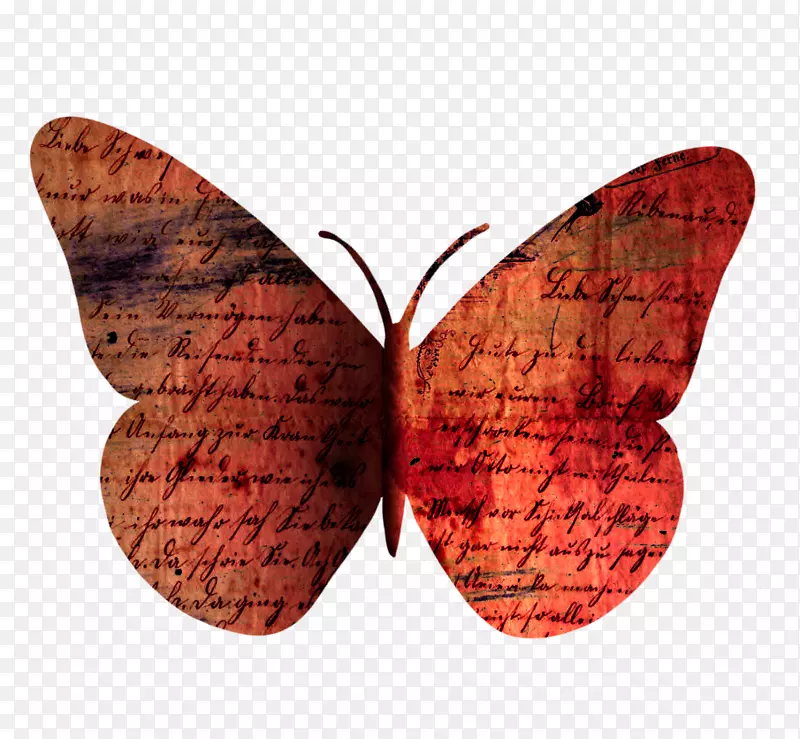 ����ֽ�����涯��-����-������