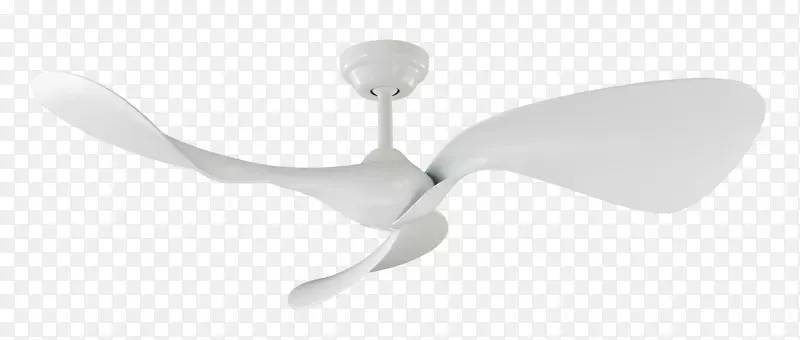 ���Ȼ������-������