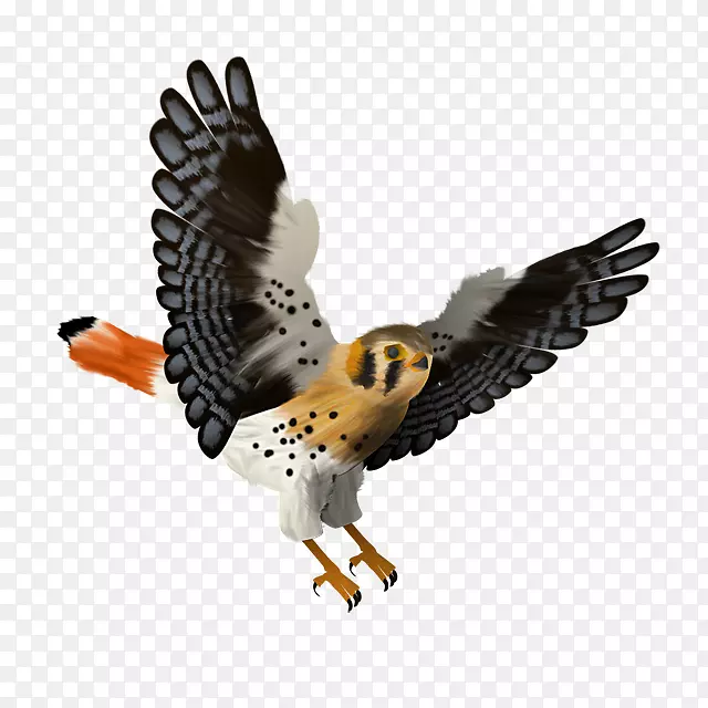 ����-������