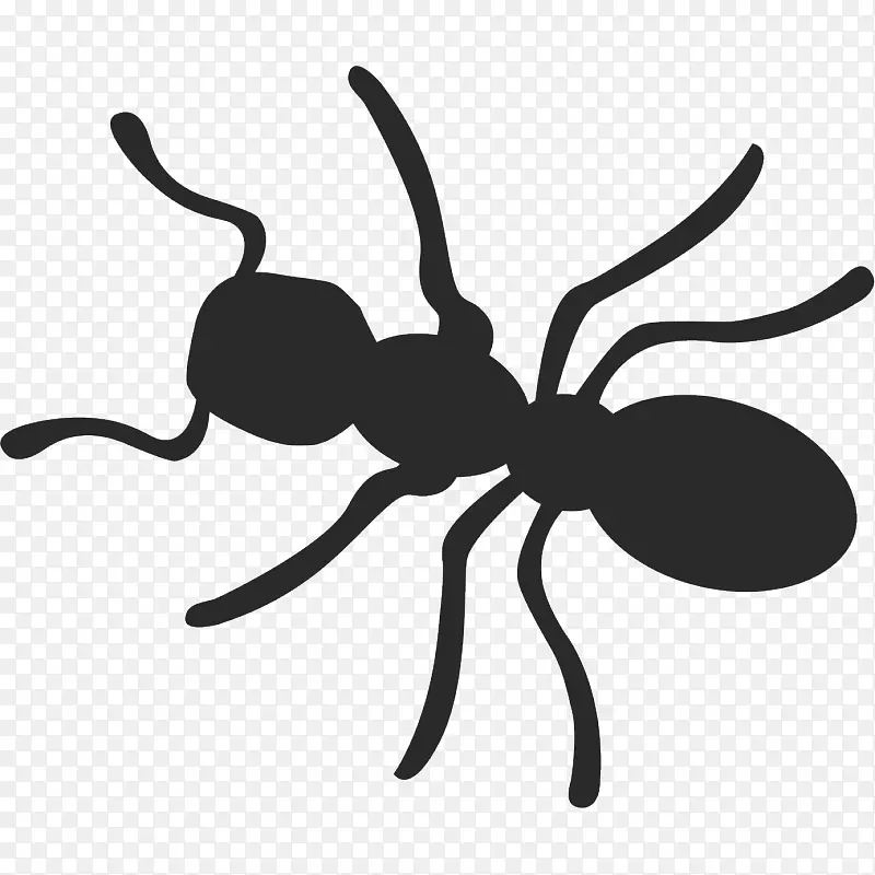 ����������Ϻ������������-������