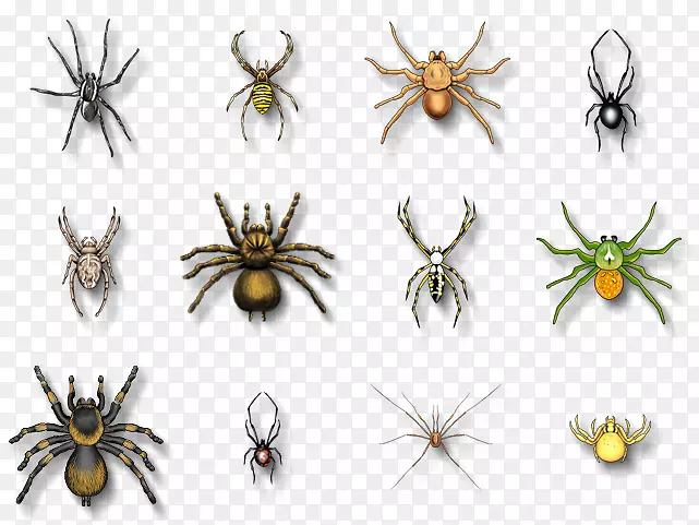 ֩��ҧ�Ϸ��ڹѸ���������֩�붯��ҧ֩��-������