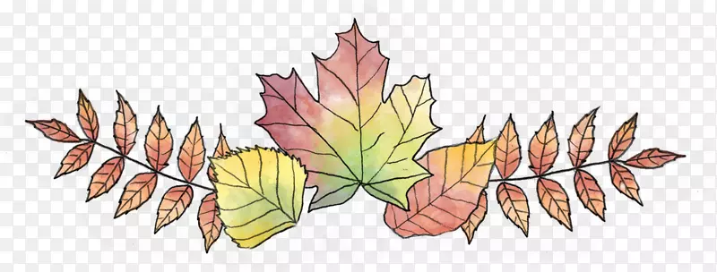 ����Ҷˮ�ʻ�����-������