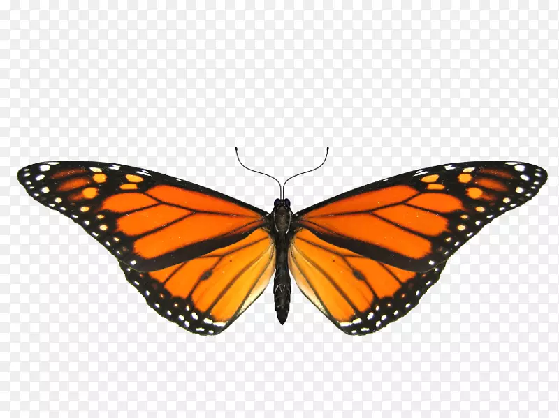 ��������������������⶯��-������