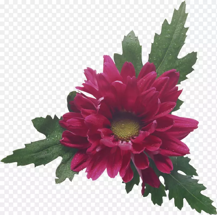 �ջ��л���Ƽ�����-�ջ�-������