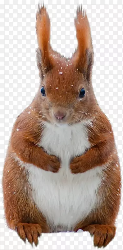 �����󶯻���������-����-������