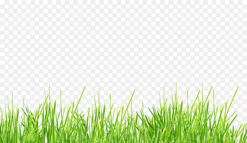 �����ֽ������-������