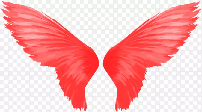 ����-������