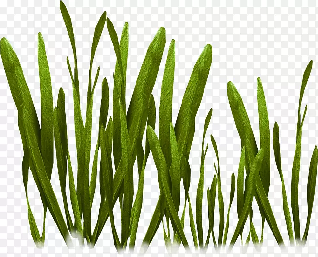 ��װ��PostScript������-������